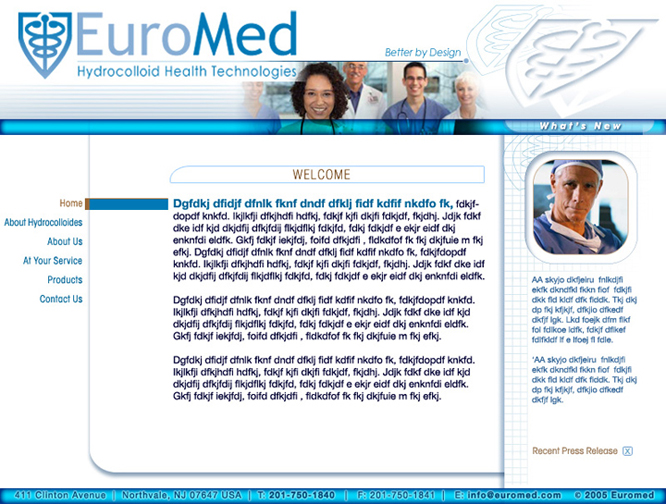Euromed website design